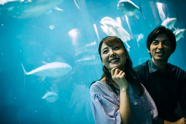 水族館で巨大な水槽の中を泳ぐ魚たちを、笑顔で見上げるカップルの姿です。