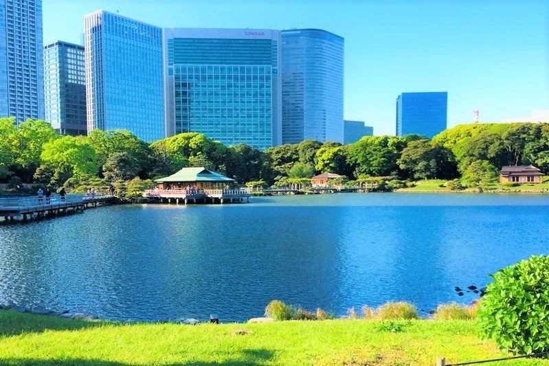 浜離宮恩賜庭園と高層ビル