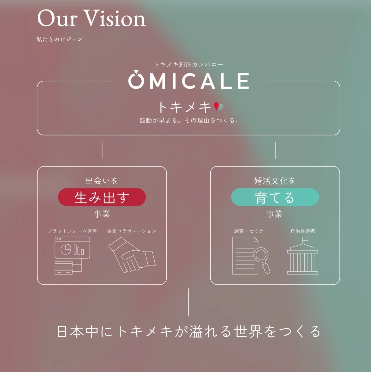 ビジョン