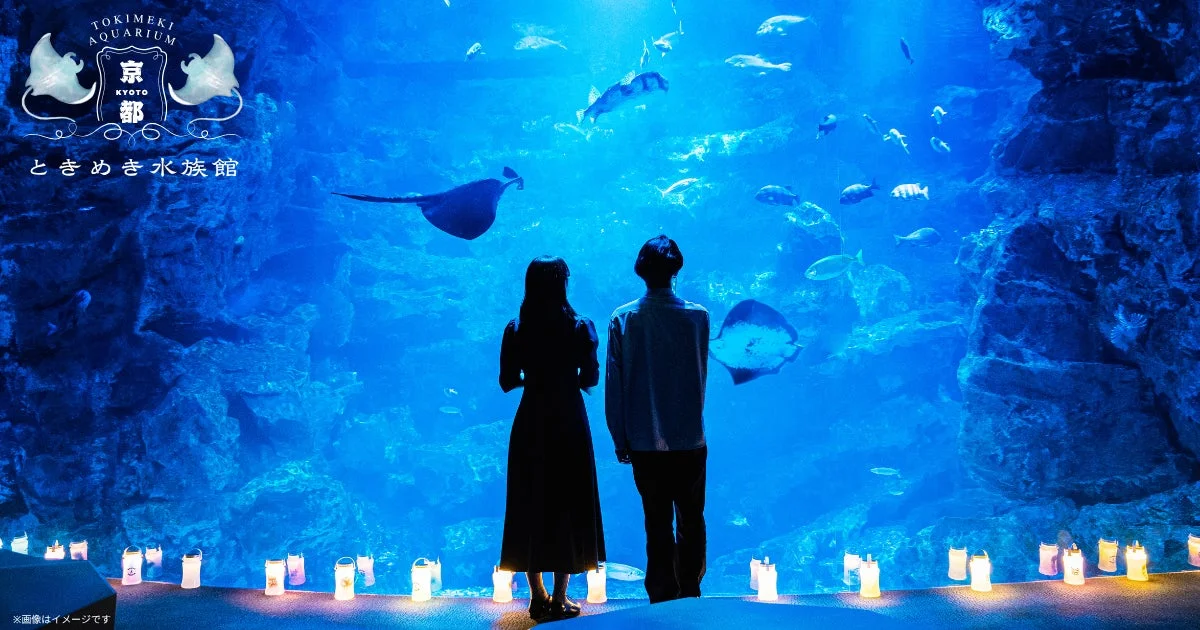 水族館の幻想的な雰囲気
