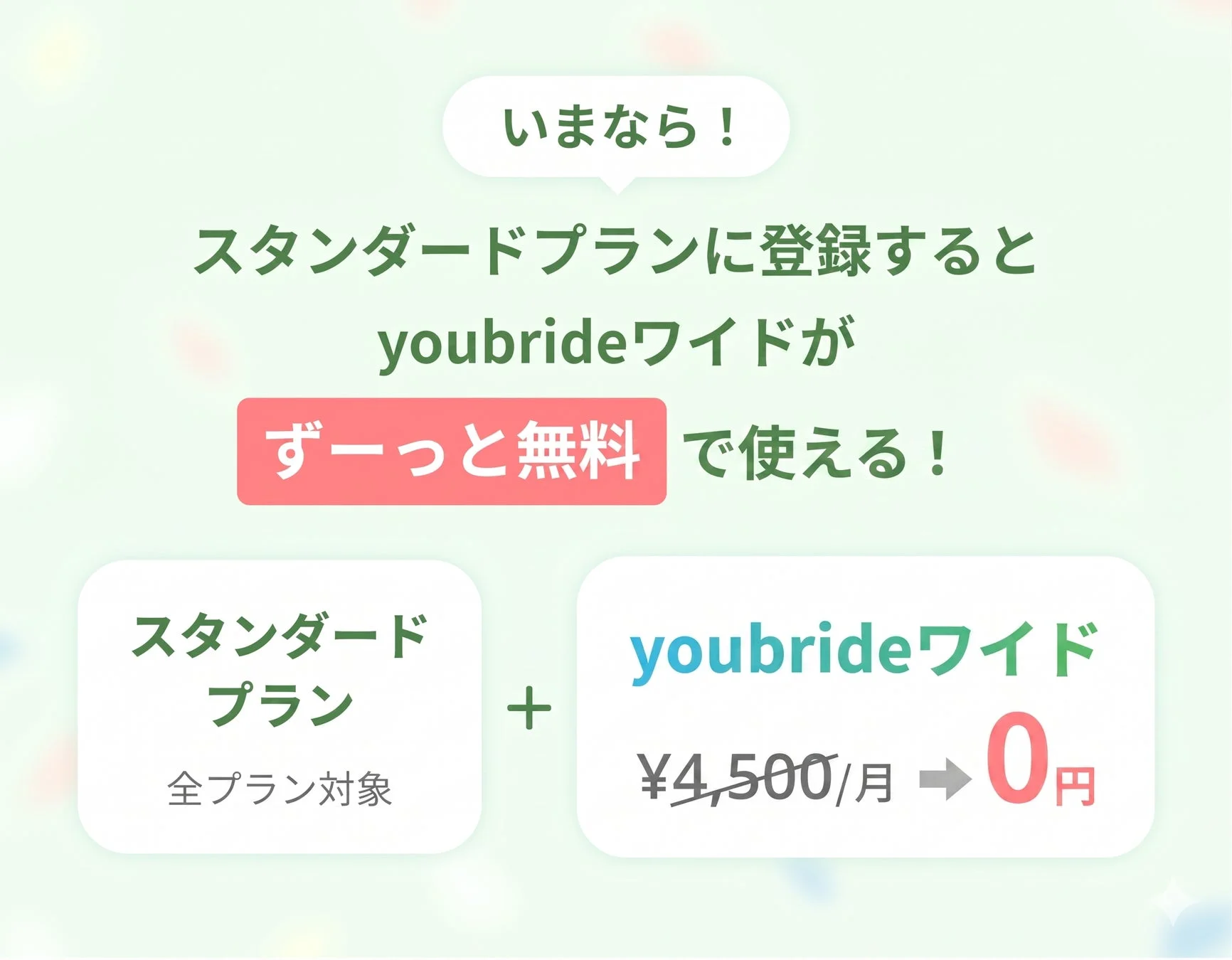 いまなら！スタンダードプランに登録するとyoubrideワイドがずーっと無料で使える！